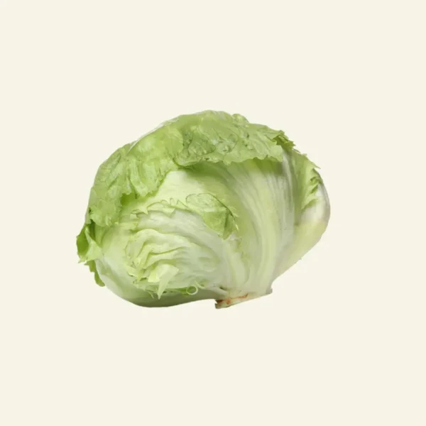 Organic Cabbage