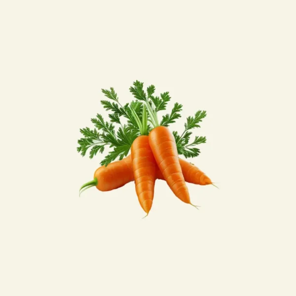 Carrot